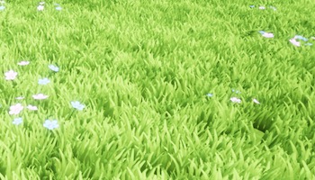 Grass system
